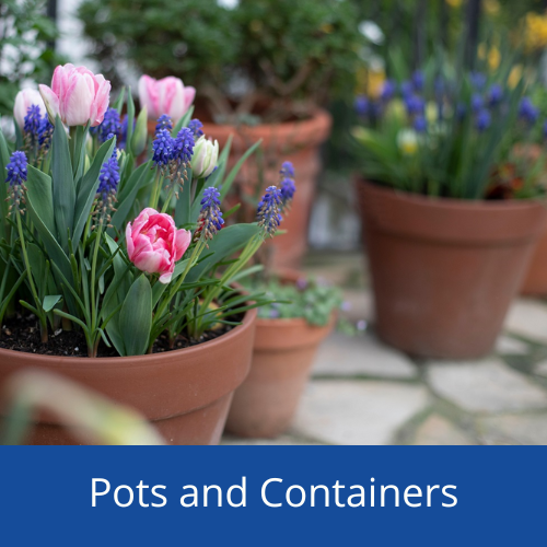 pots and containers