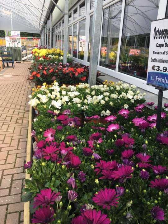 Gardening in Athlone? Go to Fernhill Garden Centre