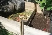 Choosing compost