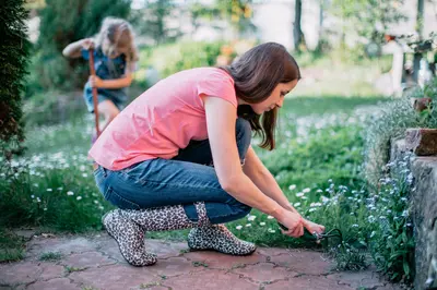 6 low-cost garden makeover tips