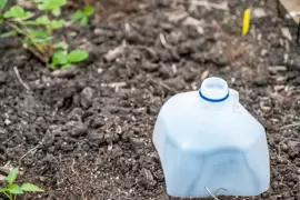 8 great gardening hacks