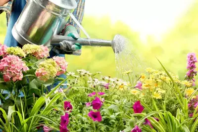 A water-friendly garden: our tips!