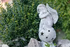 How to choose and use garden decorations