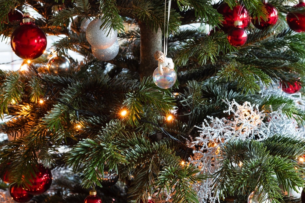 How to keep your Christmas tree fresh for longer Fernhill Garden Centre