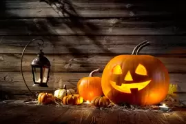 Ireland’s gardeners are gearing up for the spookiest night of the year