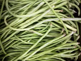 Sow French beans outside