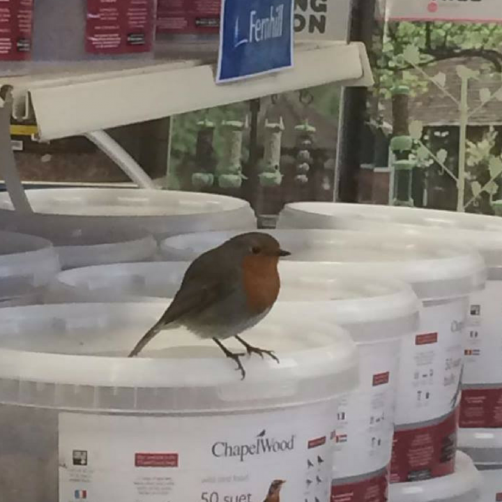 Pet supplies Longford Pet supplies Longford