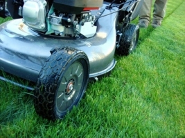 Which lawnmower?