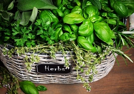 Herb baskets