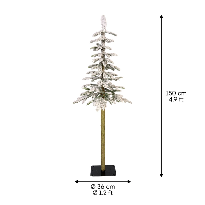 Alpine Fir Snowy H150cm - image 3