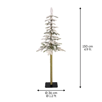 Alpine Fir Snowy H150cm - image 3