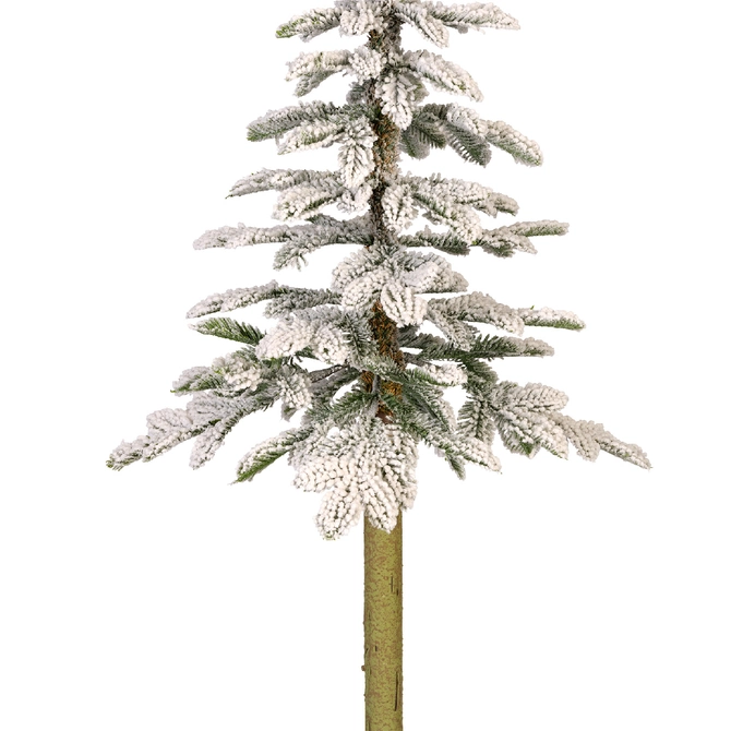 Alpine Fir Snowy H150cm - image 4