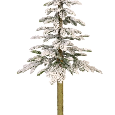 Alpine Fir Snowy H150cm - image 4