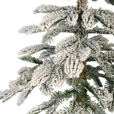 Alpine Fir Snowy H150cm - image 5