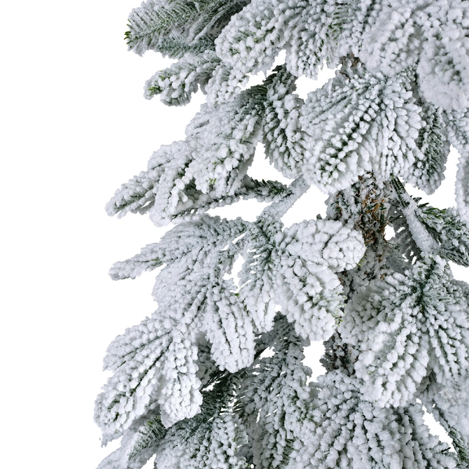 Alpine Fir Snowy H180cm - image 3