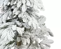 Alpine Fir Snowy H210.00cm - image 2