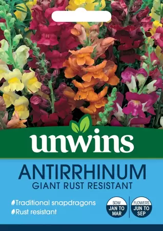 Antirrhinum Giant Rust Resistant - image 1
