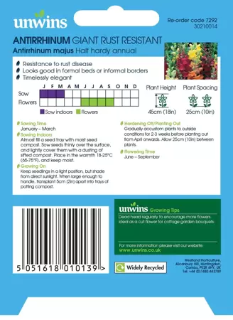 Antirrhinum Giant Rust Resistant - image 2