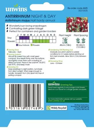 Antirrhinum Night & Day - image 2