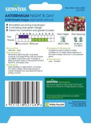 Antirrhinum Night & Day - image 2