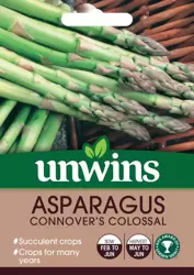 Asparagus Connover's Colossal - image 1