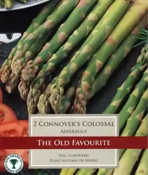 Asparagus Connover's Colossal