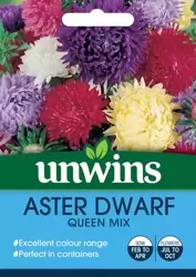Aster Dwarf Queen Mix - image 1
