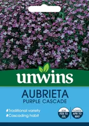 Aubrieta Purple Cascade - image 1