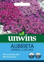 Aubrieta Spring Cascade - image 1