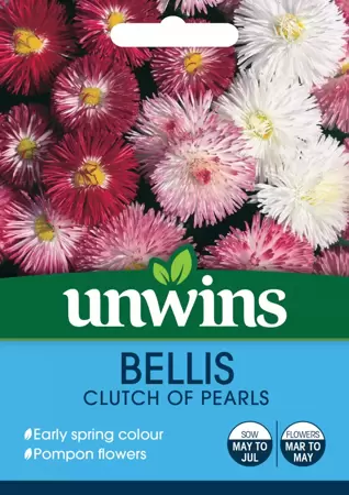 Bellis Clutch Of Pearls - image 1
