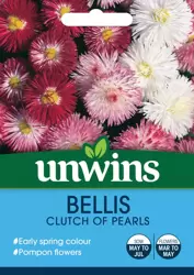 Bellis Clutch Of Pearls - image 1