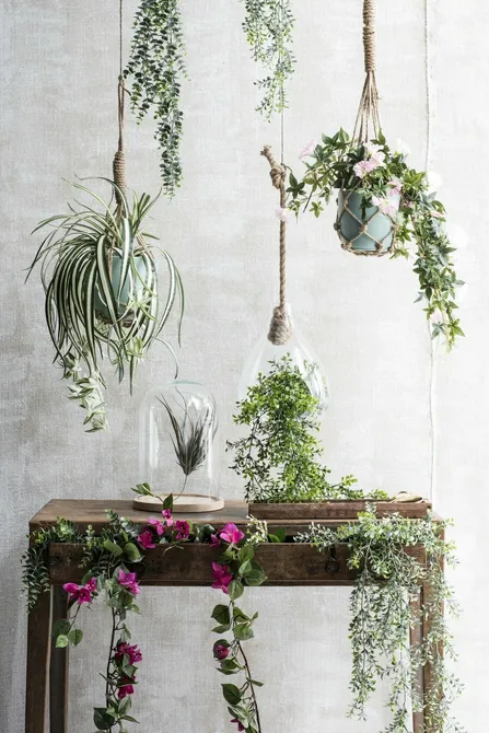 Boxwood hanging green - l74xw20xh10cm - image 2