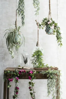 Boxwood hanging green - l74xw20xh10cm - image 2