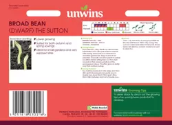 Broad Bean (Dwarf) The Sutton - image 2