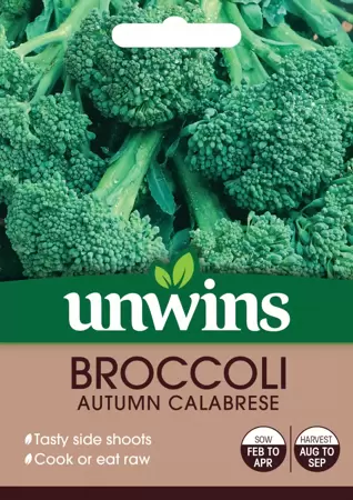 Broccoli (Calabrese) Autumn Calabrese - image 1