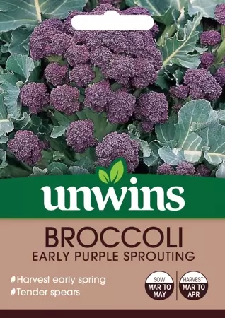 Broccoli Early Purple Sprouting - image 1