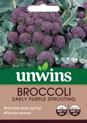 Broccoli Early Purple Sprouting - image 1