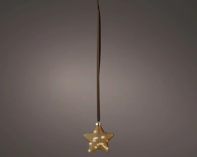 Brown Star Micro LED BO Indoor Warm White 20cm - image 2