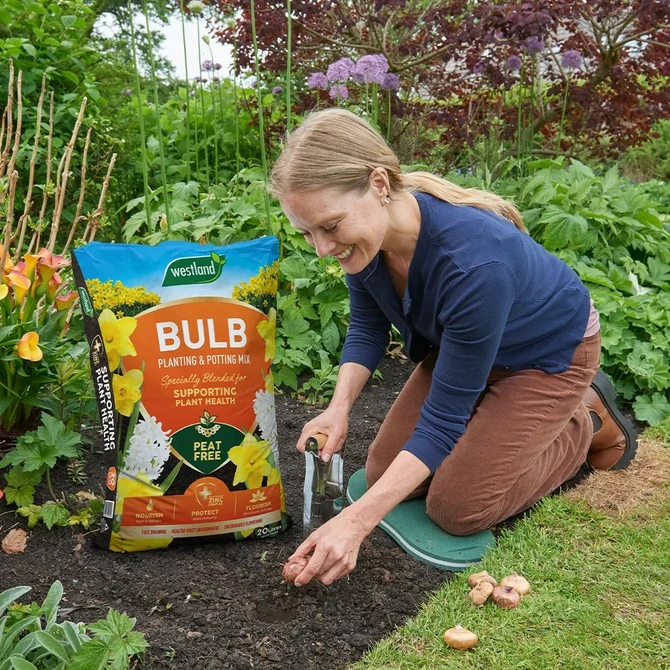 Bulb Planting & Potting mix - image 1