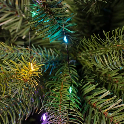 Bunch Lights Micro 672 LED Outdoor Soft Multi L210cm - image 2