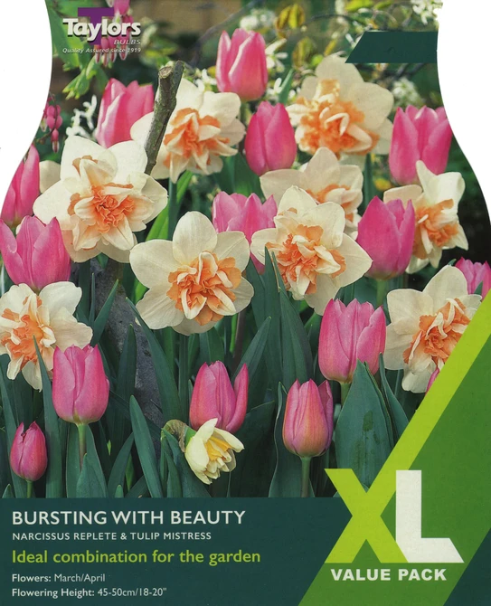 BURSTING WITH BEAUTY