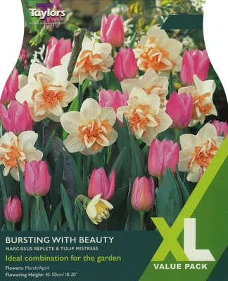BURSTING WITH BEAUTY