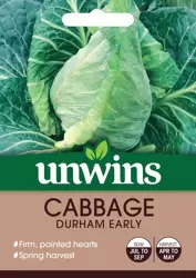 Cabbage Durham Early - image 1