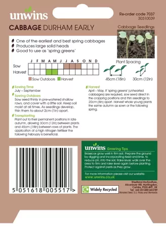 Cabbage Durham Early - image 2