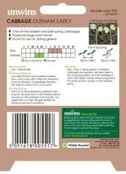 Cabbage Durham Early - image 2