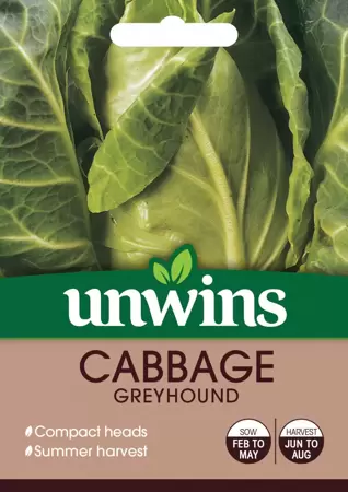 Cabbage Greyhound - image 1