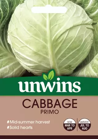 Cabbage Primo - image 1