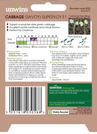 Cabbage (Savoy) Supervoy F1 - image 2