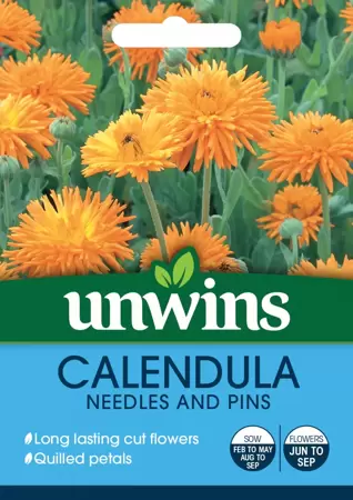 Calendula Needles And Pins - image 1