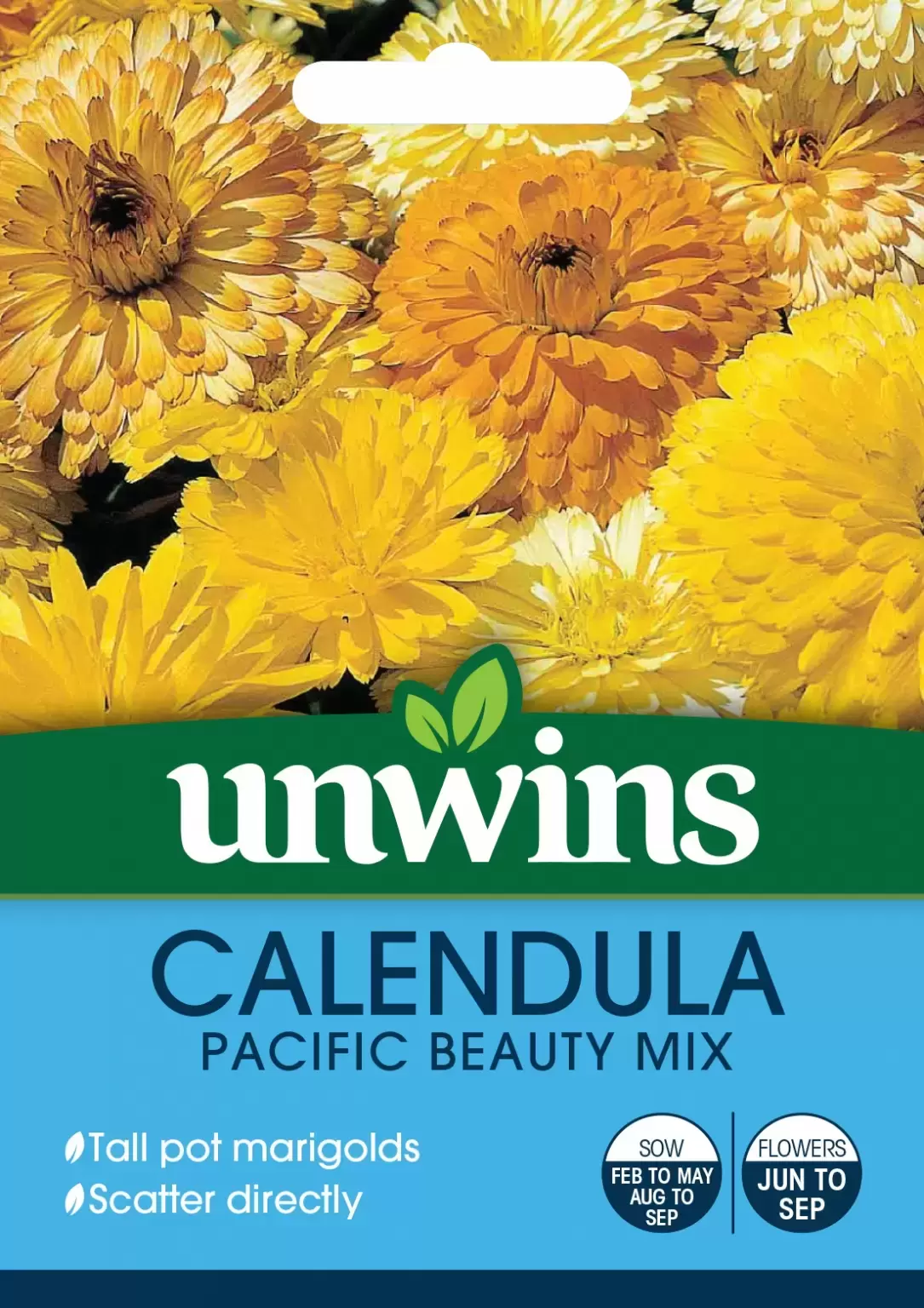 Calendula Pacific Beauty Mixed at Fernhill IE